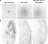 FIG. 2.