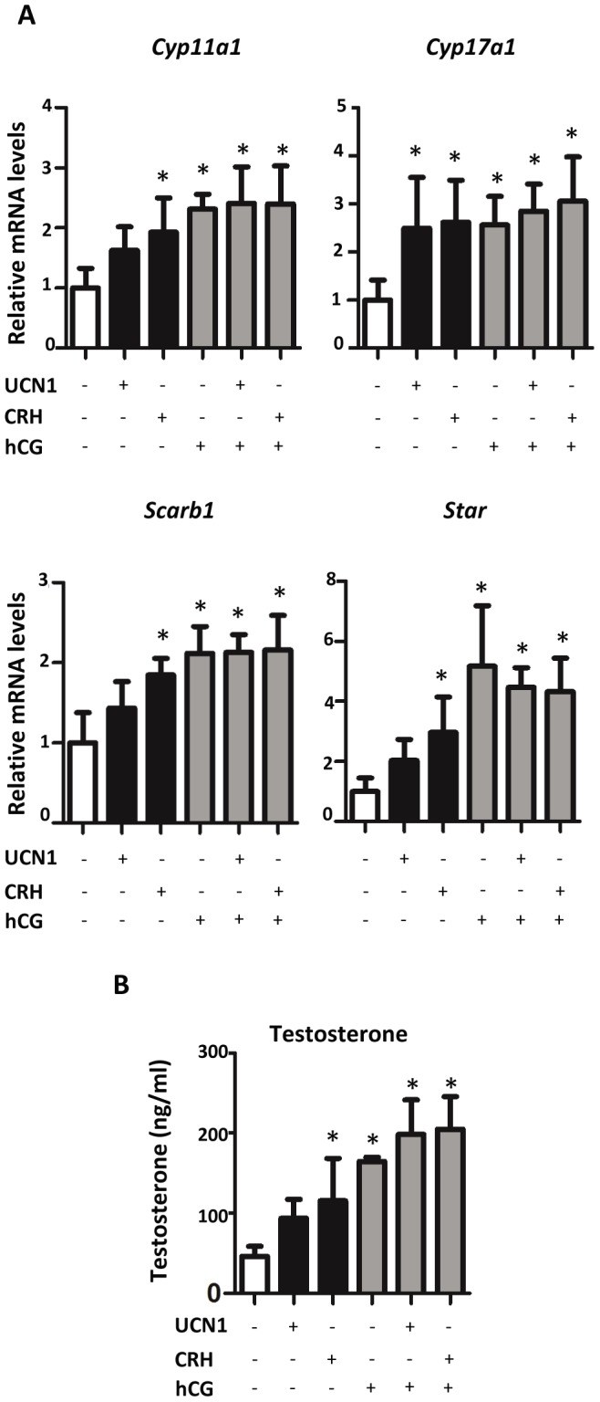 Figure 5