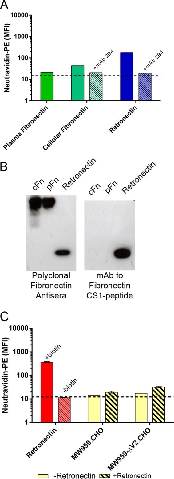 FIG 11