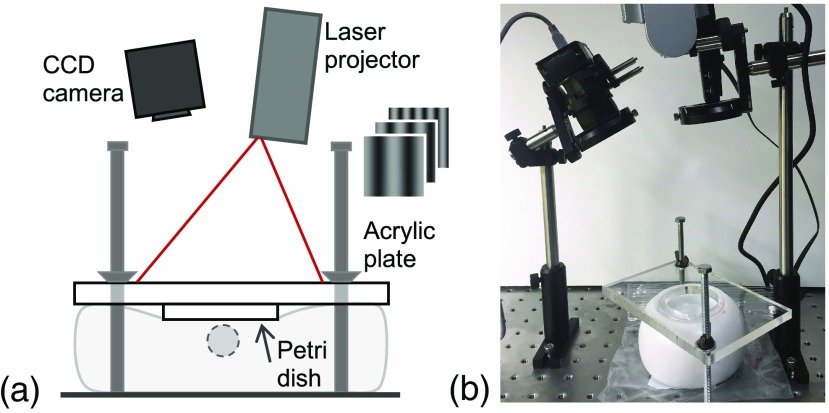 Fig. 1