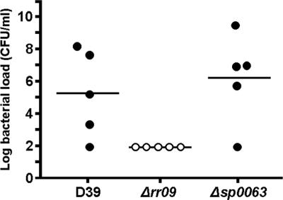 FIG. 7.