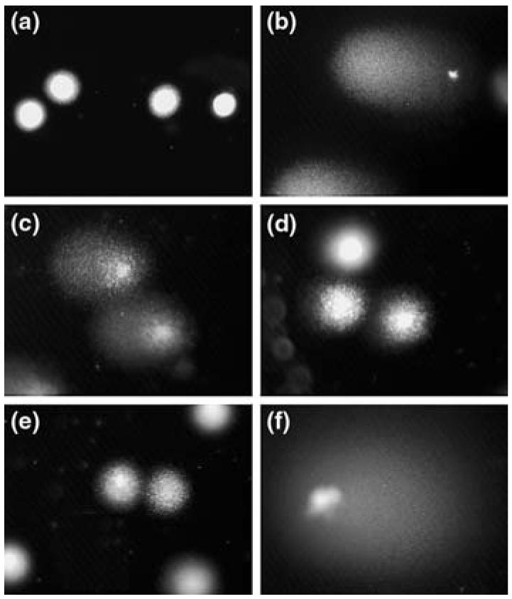 Fig. 3a–f