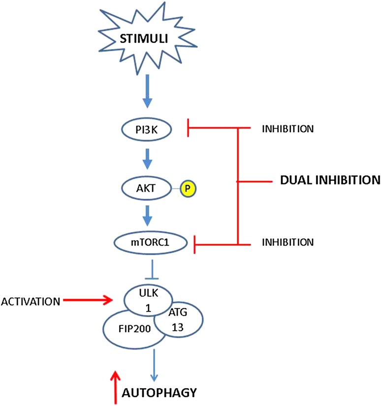 Fig. 2