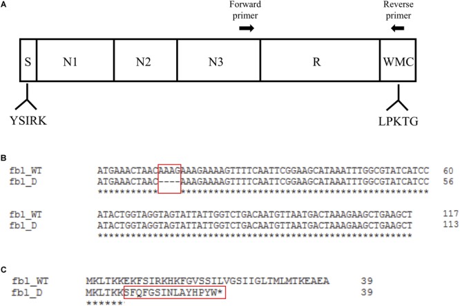 FIGURE 1