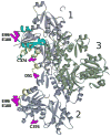 Fig. 7