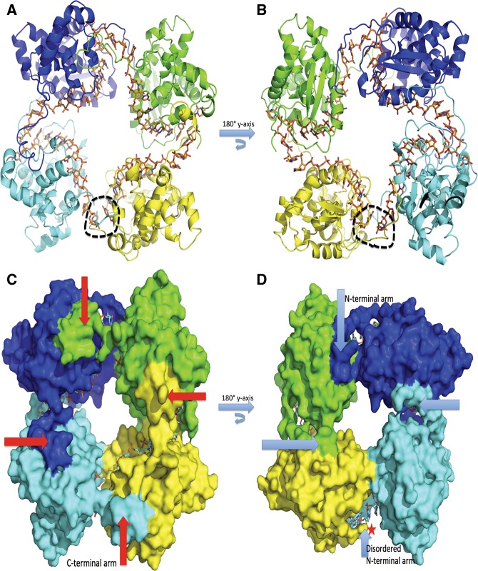 FIGURE 1.