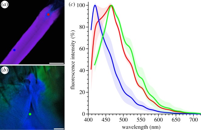 Figure 3.