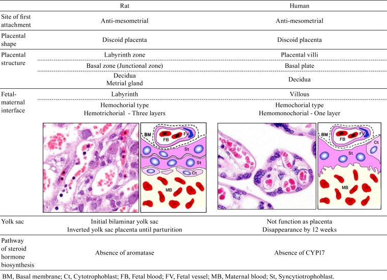 graphic file with name tox-32-001-t002.jpg