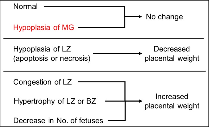 Fig. 15.