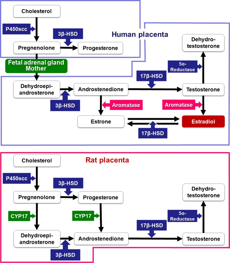 Fig. 13.