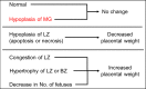 Fig. 15.
