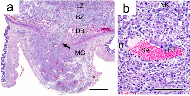 Fig. 11.