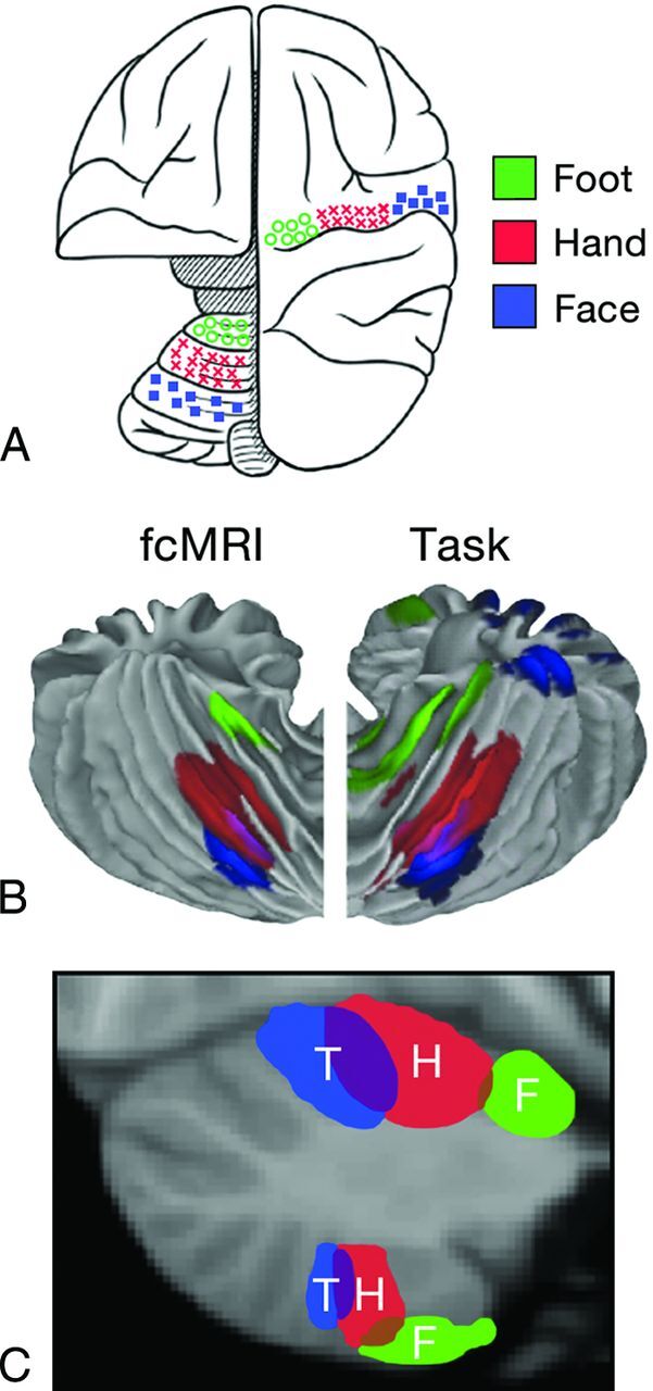 Fig 6.