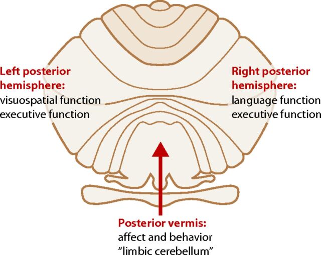 Fig 5.