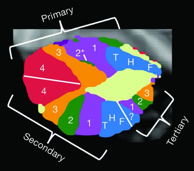 Fig 7.