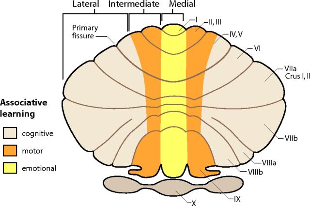 Fig 4.