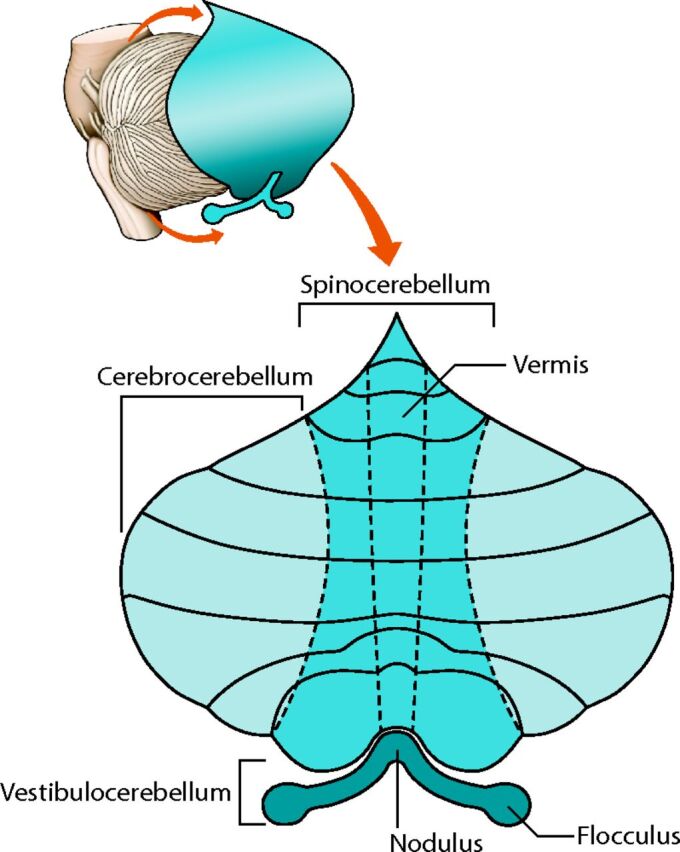 Fig 2.