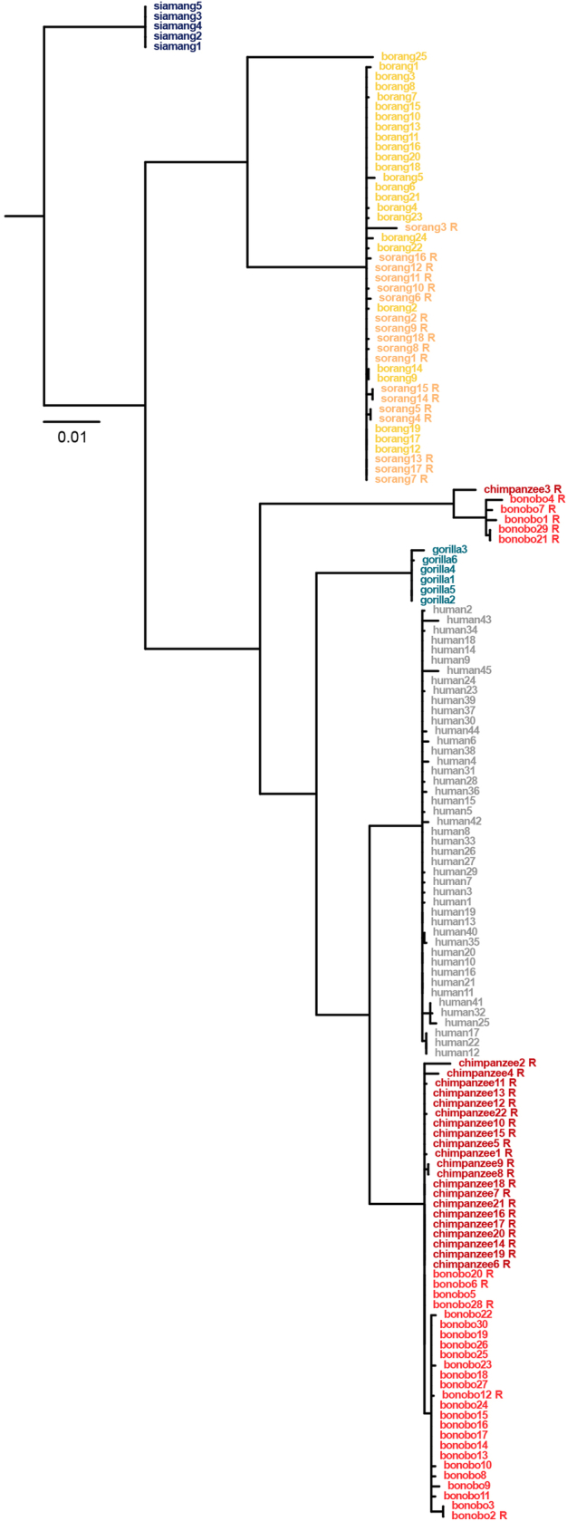 Extended Data Fig. 7