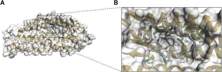 Figure 2—figure supplement 4.