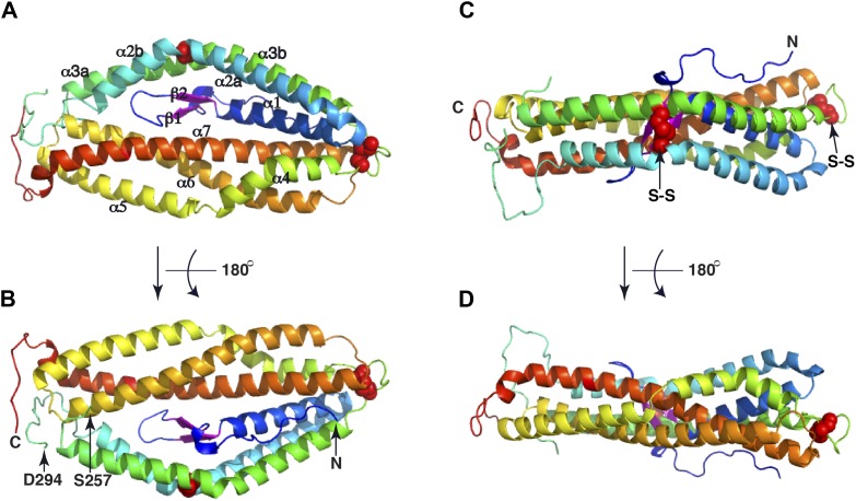 Figure 2.