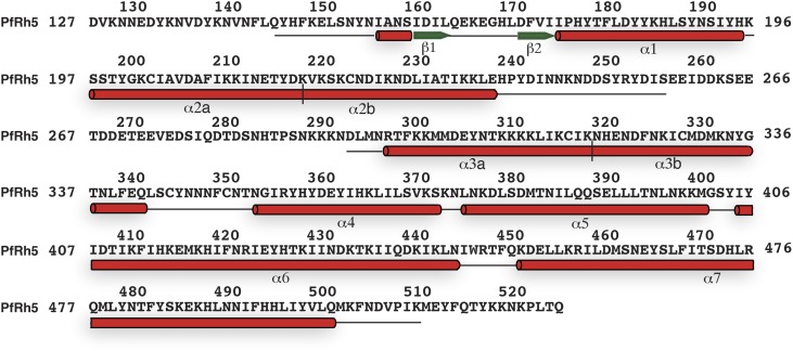 Figure 2—figure supplement 1.