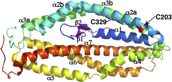 Figure 2—figure supplement 2.