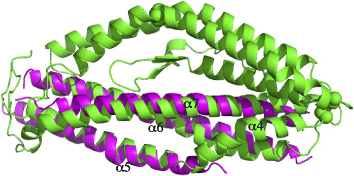 Figure 2—figure supplement 3.