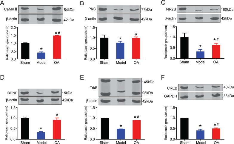 Fig. (3)