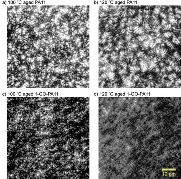 Figure 10: