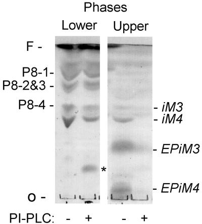 FIG. 7