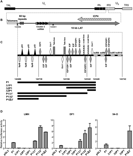 FIGURE 1.