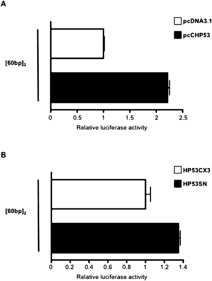 FIGURE 7.