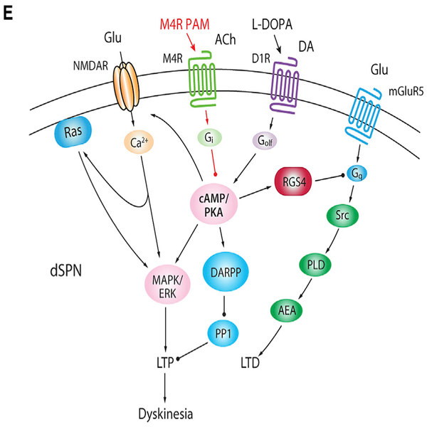 Figure 7E.