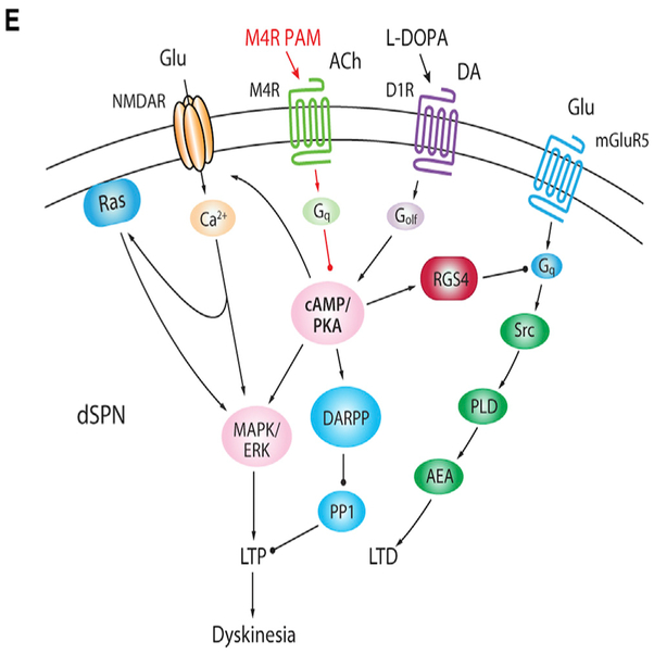 Figure 7E.