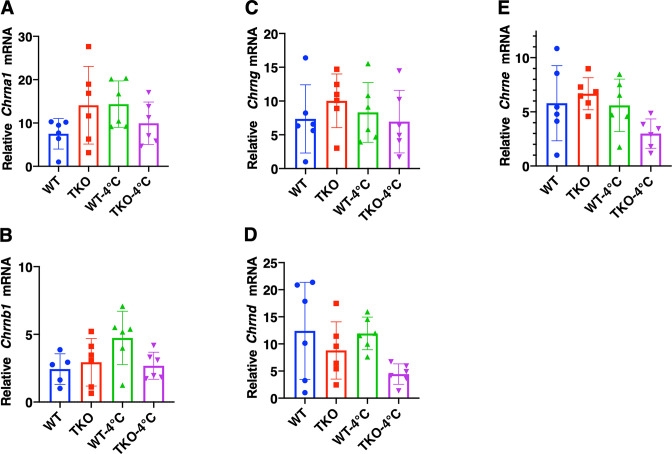 Figure 2—figure supplement 1.