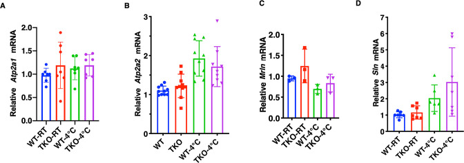 Figure 1—figure supplement 2.