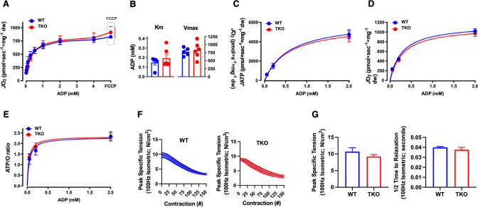 Figure 3—figure supplement 2.