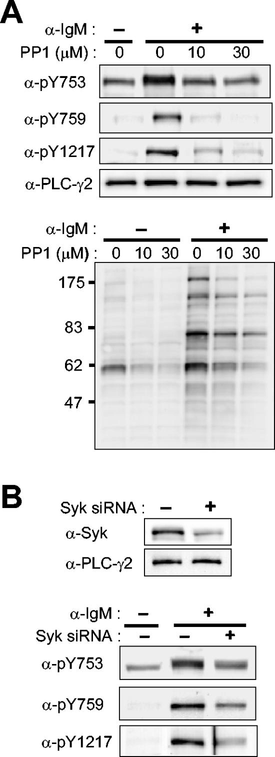 FIG. 5.