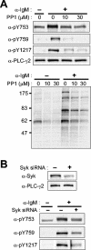 FIG. 5.