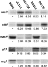 FIG. 2.