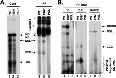 FIG. 7.