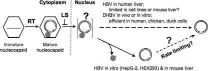 FIG. 8.