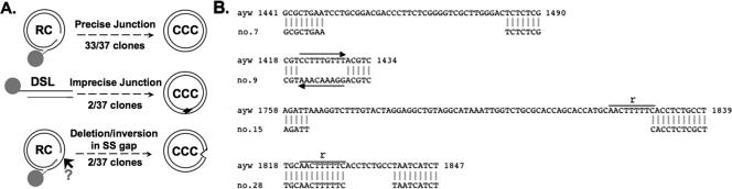 FIG. 6.