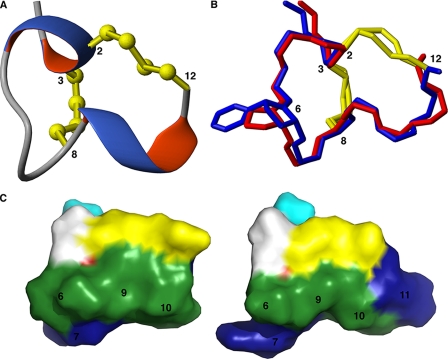 FIGURE 4.