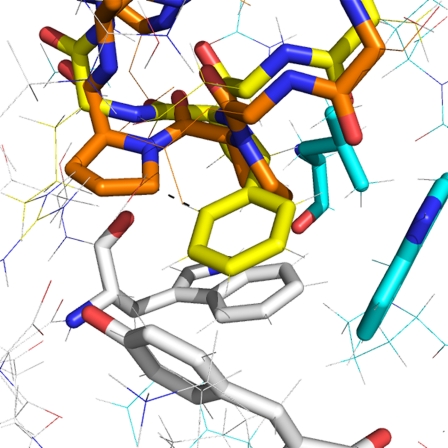 FIGURE 7.