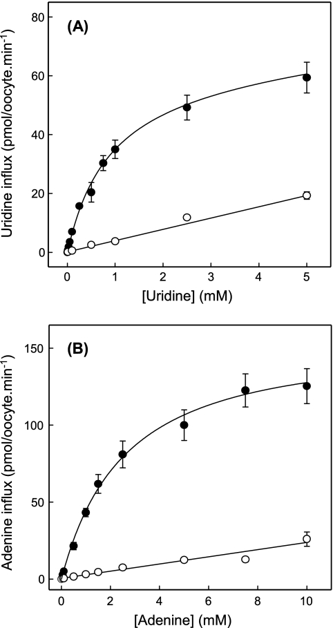 FIGURE 11.