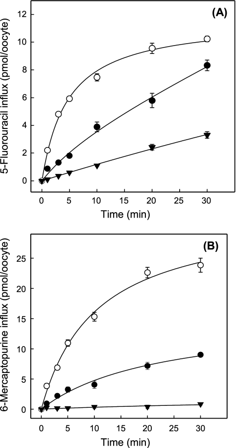 FIGURE 7.