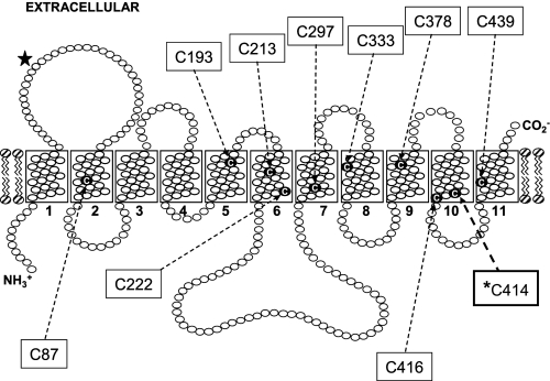 FIGURE 9.