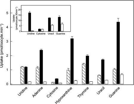 FIGURE 1.