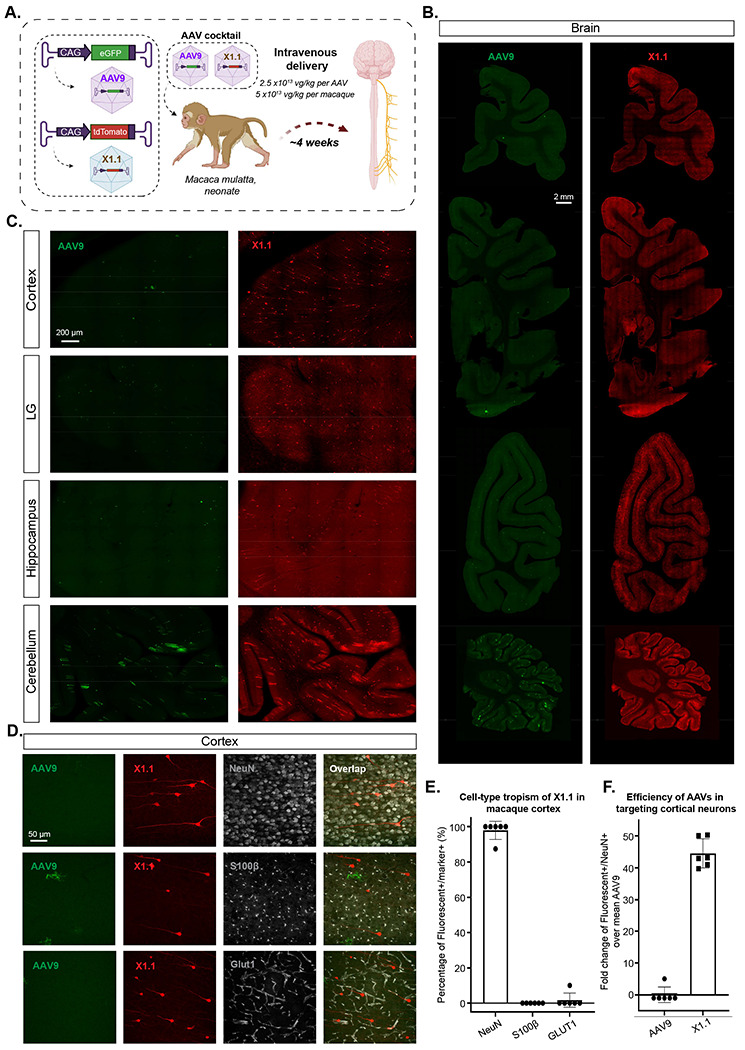 Figure 6: